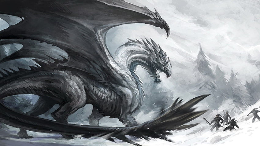 Ice Dragon, Black and White Dragon HD wallpaper