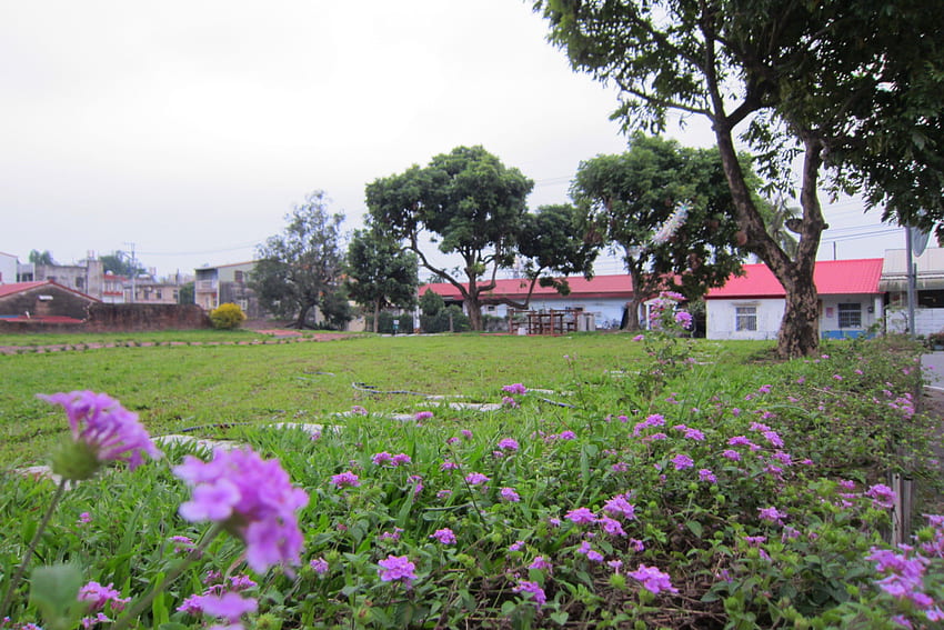 Piękna wieś, kwiat, dom, piękna, trawa, wieś Tapeta HD