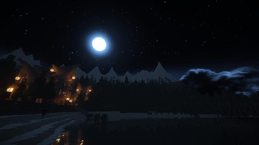 La notte di Minecraft. Scheletro Sfondo HD