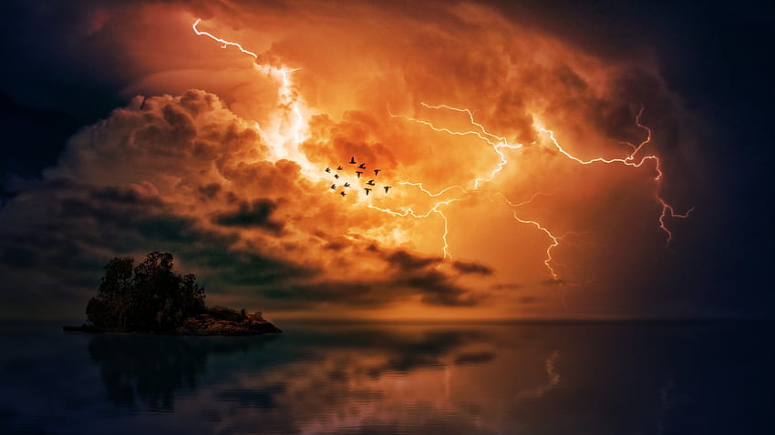 Thunderstorm, clouds, birds, sky, lightning, flight HD wallpaper