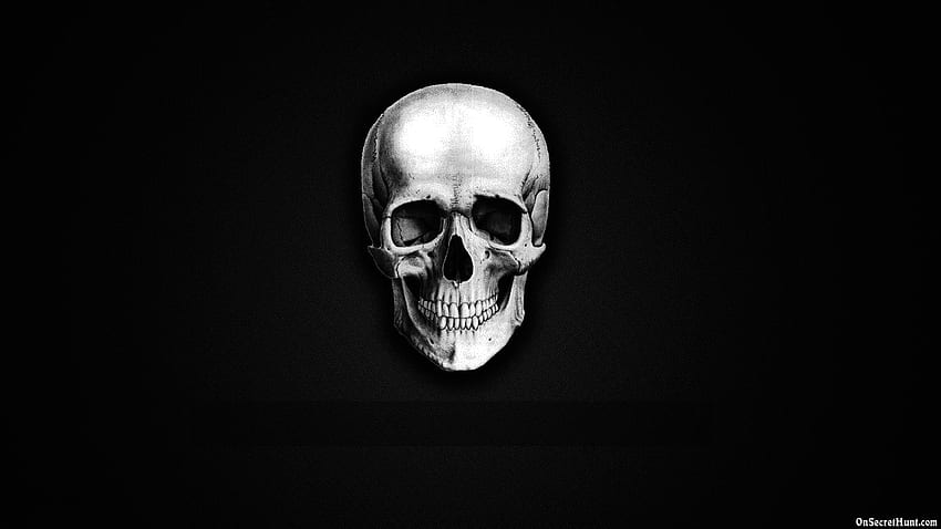 Funny Skeleton Best of Skeleton . Skull , Funny skeleton, Neon, Death Proof Skull HD wallpaper