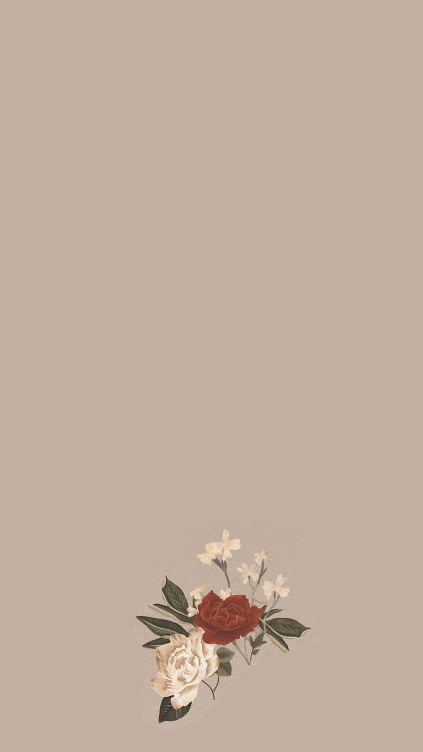 Aesthetic Instagram Android Background. Flower background , Instagram , Minimalist HD phone wallpaper