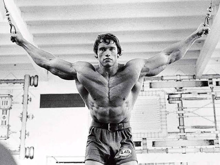 Arnold Schwarzenegger, Arnie, mr_olympia, fitness, Arnold_Schwarrzenegar, GOAT, musculação papel de parede HD