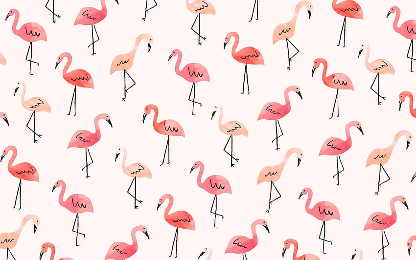 Flamingo Background, Cartoon Flamingo HD wallpaper