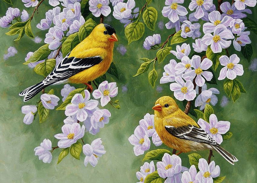 Goldfinches in Spring, artwork, songbirds, birds, painting, blossoms, twigs, tree HD wallpaper