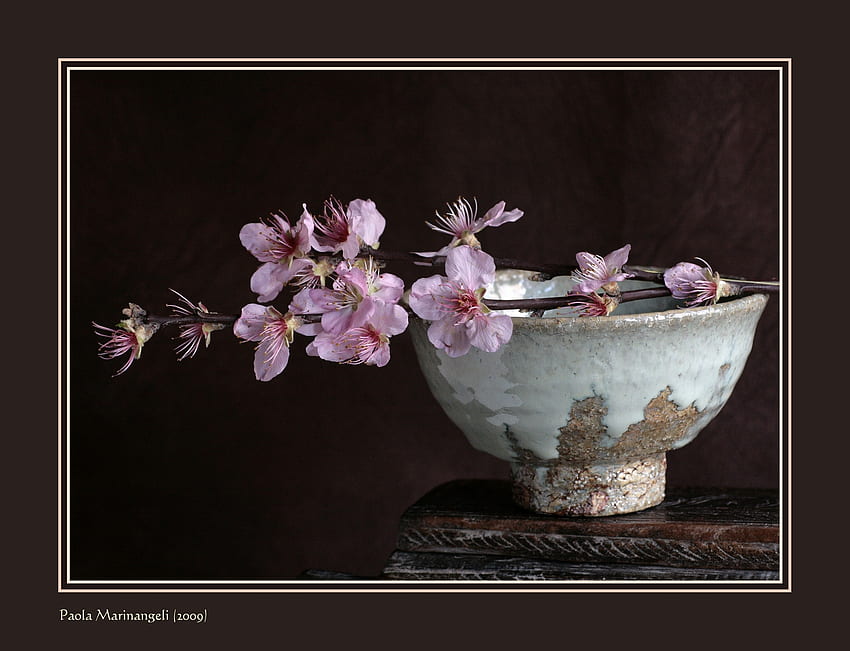 sakura, art , flower, vase, nature, zen still life HD wallpaper