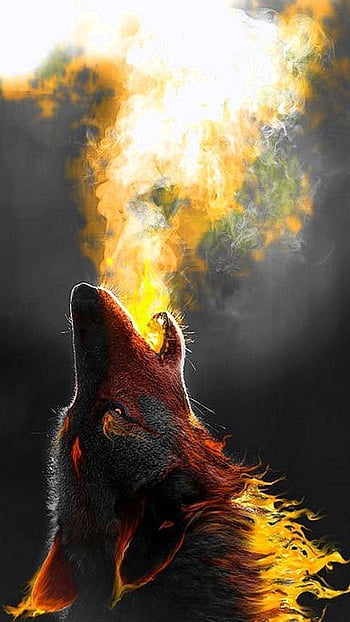 Cool Wolf Phone - Cool Animal For iPhone - & Background HD phone wallpaper  | Pxfuel