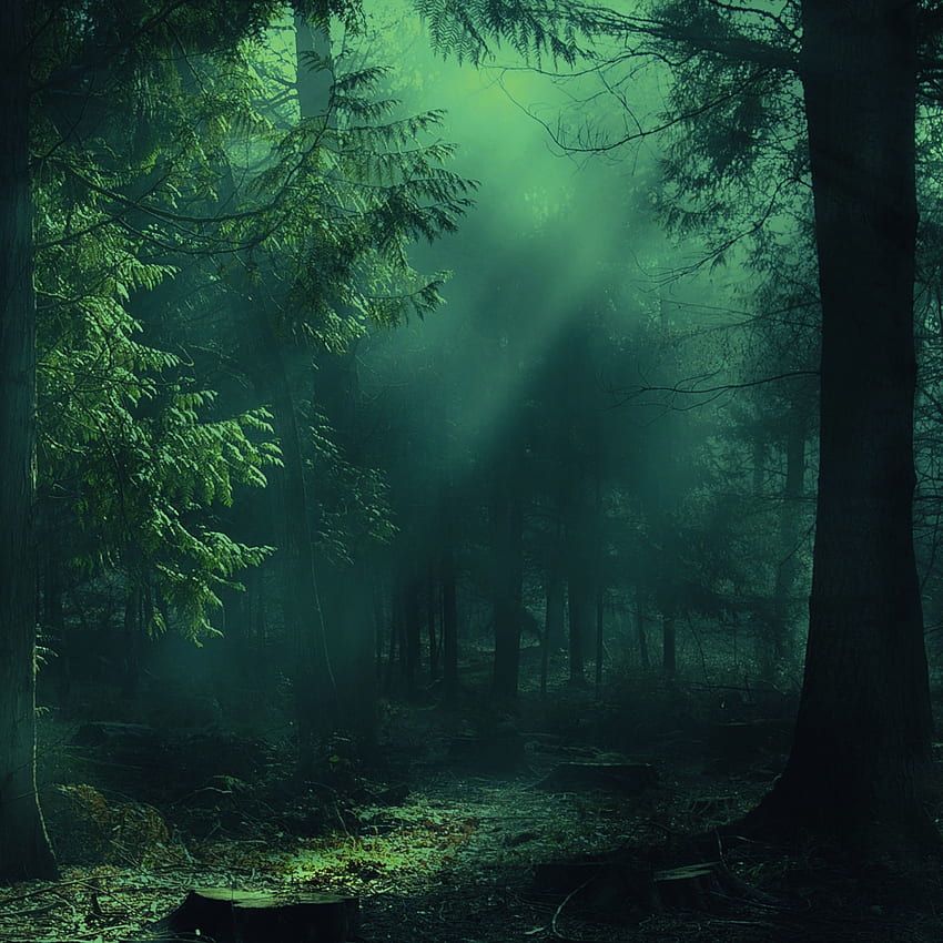 Połysk, natura, drzewa, światło, las, mgła, cienie Tapeta na telefon HD