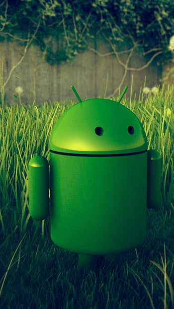Grass android HD wallpapers | Pxfuel