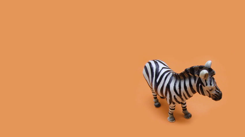 Latar Belakang, Zebra, Miscellanea, Miscellaneous, Toy, Striped Wallpaper HD