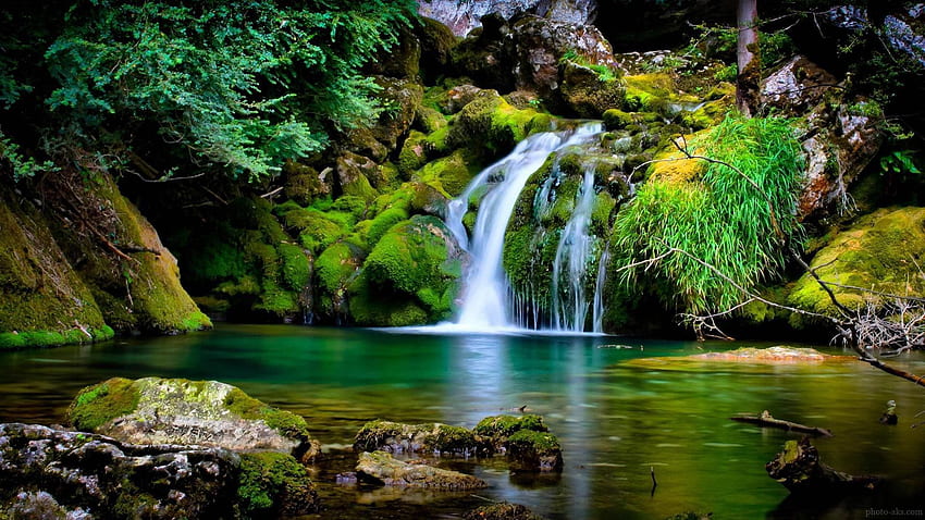 منظره زیبا از آبشار در طبیعت جنگل, Zen Waterfall HD wallpaper | Pxfuel