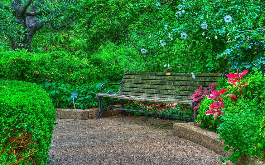 Panchina in Spring Park Background. Visualizza, , commenta e valuta - A. , r , , Green Park Sfondo HD