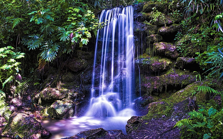 Beautiful Waterfalls, waterfalls, beautiful, forest, rocks HD wallpaper