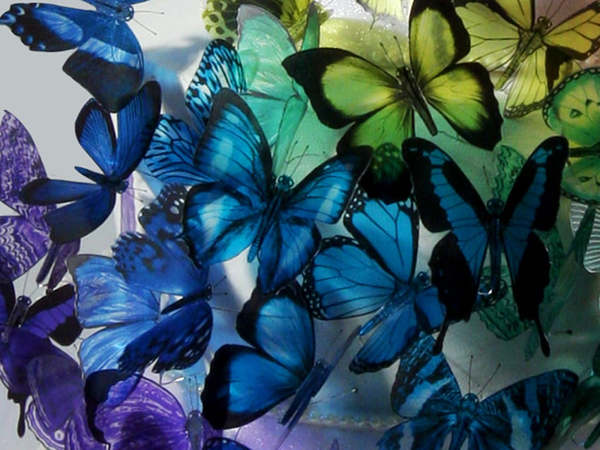 ケーキの蝶、蝶、結婚式、ケーキ 高画質の壁紙