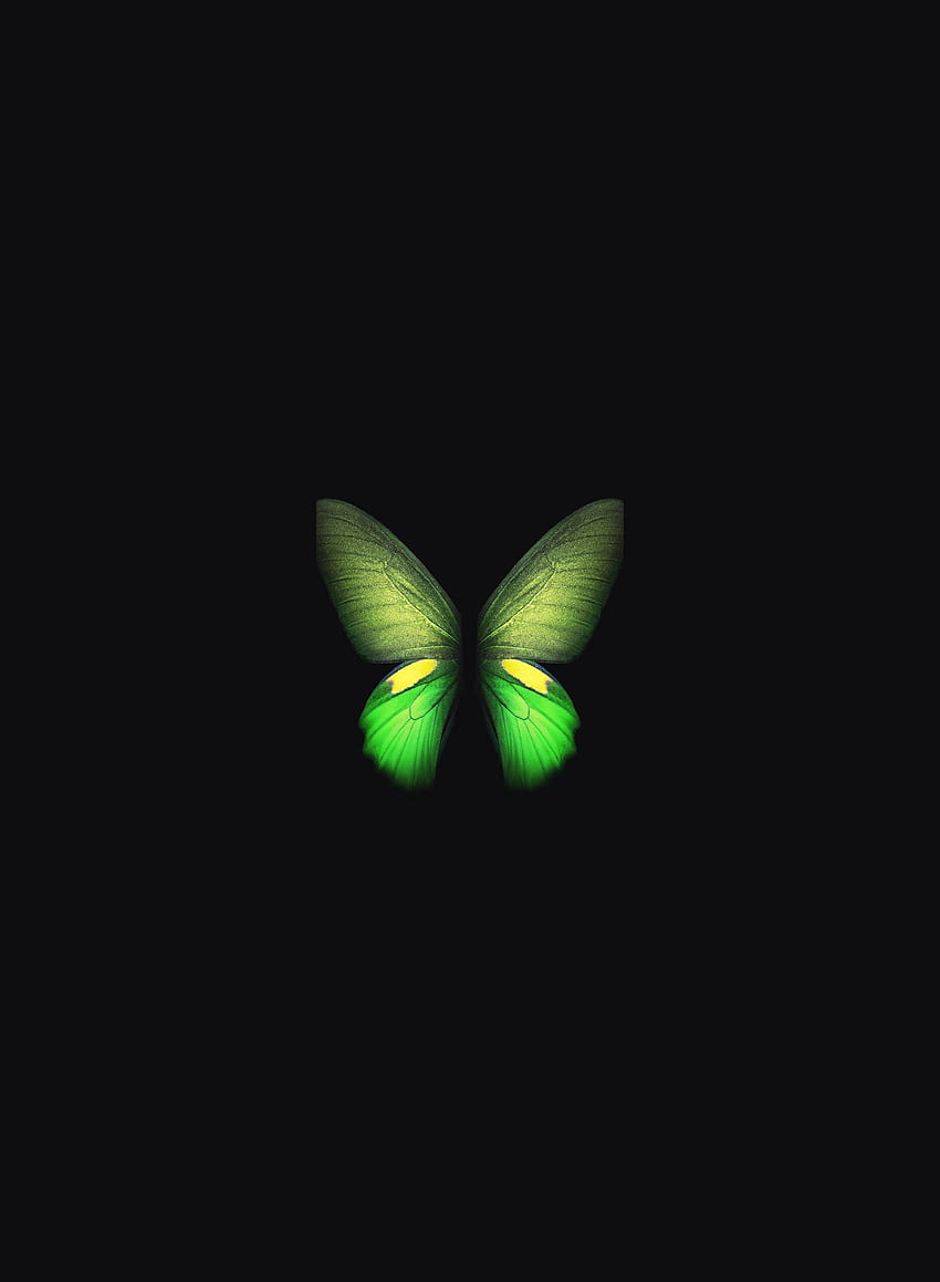 Samsung Galaxy Fold, mariposa verde, mínimo, arte fondo de pantalla del teléfono