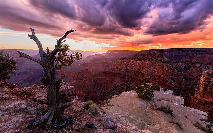 Grand Canyon Sunset Background Monodomo in 2020. Grand canyon sunset, Grand canyon tours, Grand canyon, Vegas Sunset 高画質の壁紙