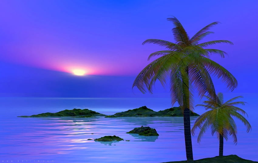 Gelassenheit. Palmen er, Strand , Baum , Blue Ocean Sunset HD-Hintergrundbild