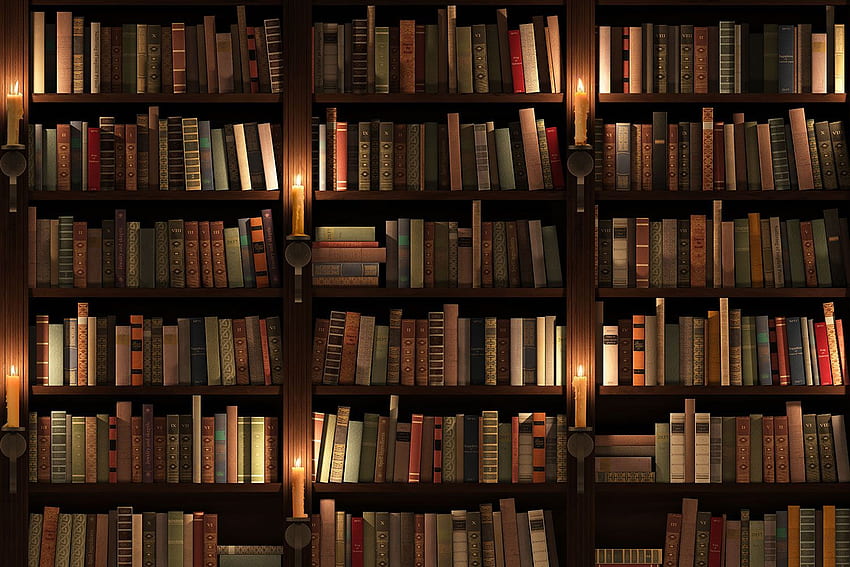 Library, Cozy Library HD wallpaper | Pxfuel