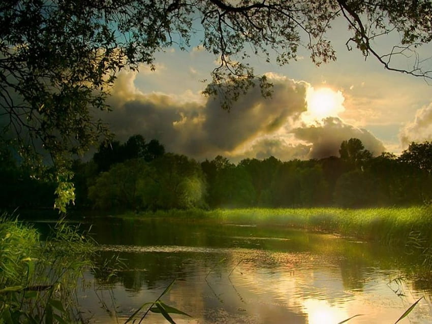 paz verde, nuvens, céu, lago, beleza papel de parede HD