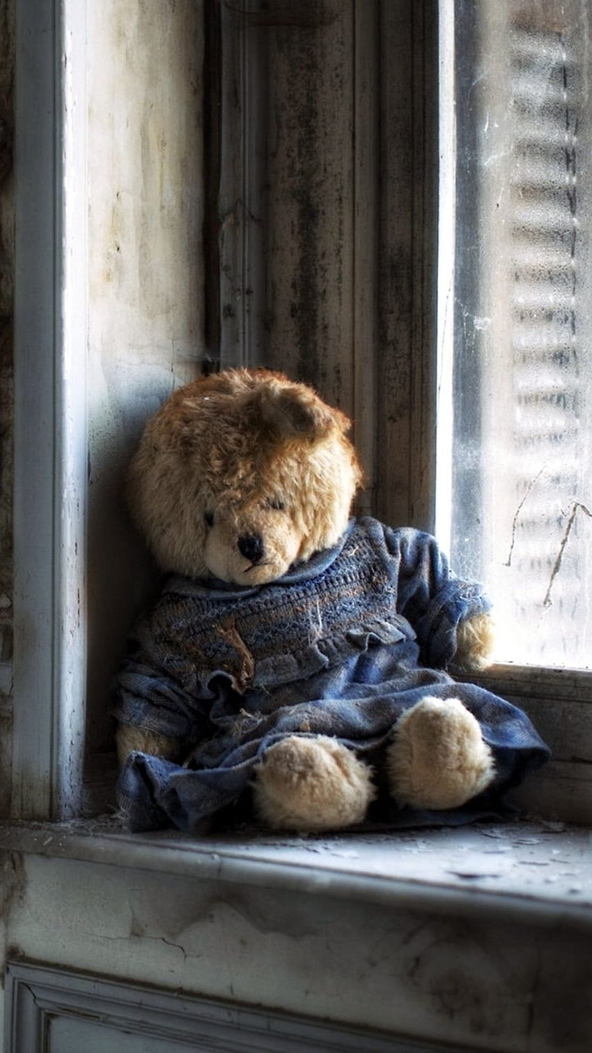 Teddy Bear Ka เศร้า Alone Teddy Bear คนเดียว ตุ๊กตาหมี วอลล์เปเปอร์โทรศัพท์ HD