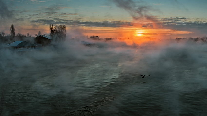 nebbia che sale da un fiume all'alba, nebbia, fiume, mattina, uccello, città, alba Sfondo HD