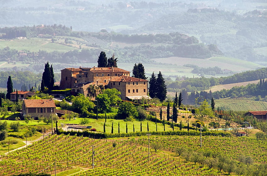 การเดินทางชิมไวน์อิตาลีจาก Piedmont ถึง Tuscany Wine Tour [] สำหรับมือถือและแท็บเล็ตของคุณ สำรวจไร่องุ่นและไวน์ ไร่องุ่นและไวน์, ไร่องุ่นอิตาลี วอลล์เปเปอร์ HD