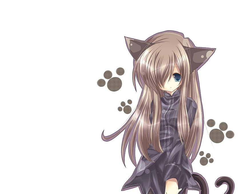 10 Best Anime For Cat Lovers
