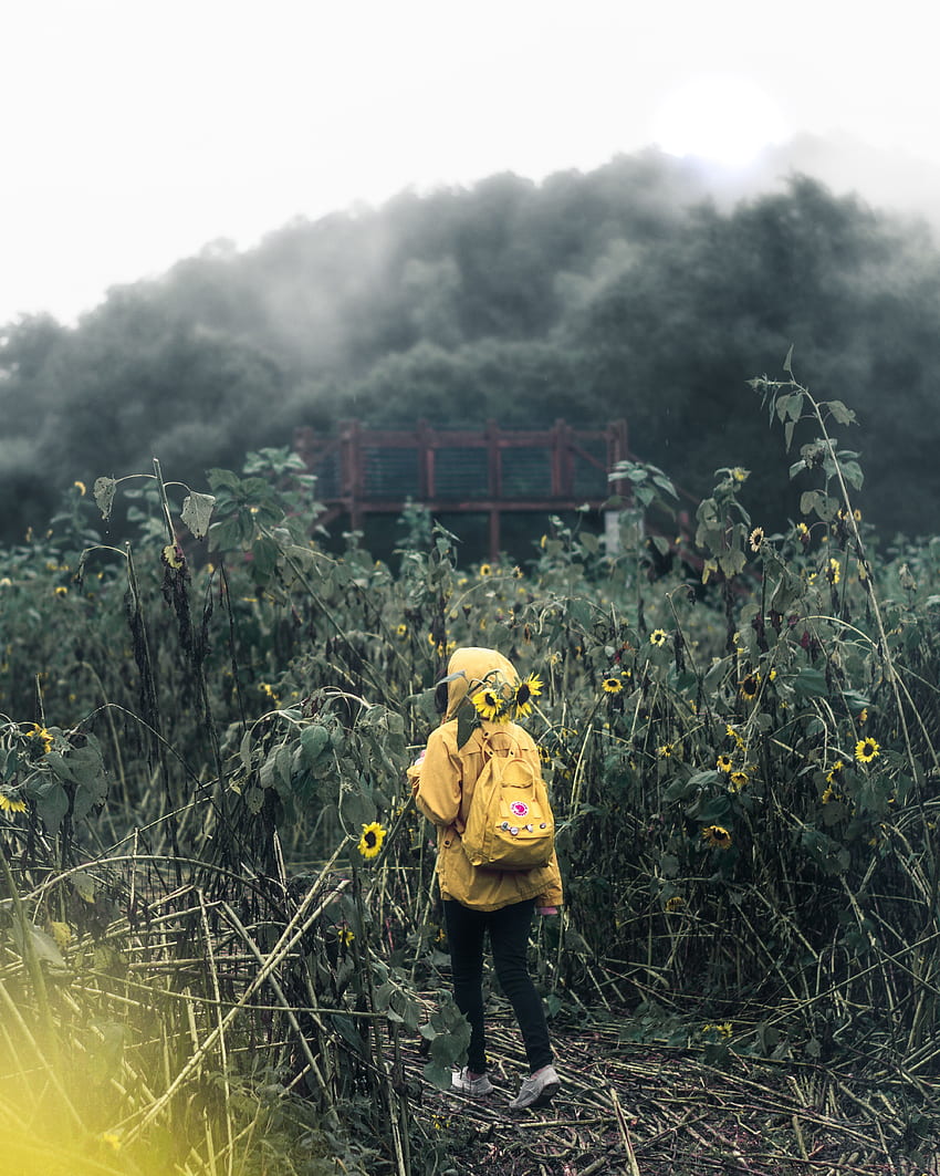Nature, Flowers, Clouds, Field, Human, Person, Mainly Cloudy, Overcast, Backpack, Rucksack HD phone wallpaper