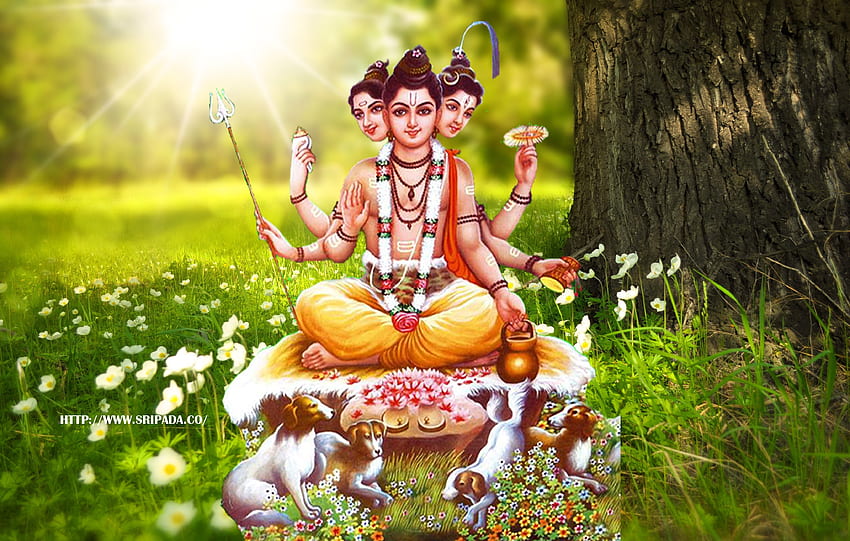 Shree Gurudevadatta | Good morning image quotes, Good morning greetings,  Good morning picture