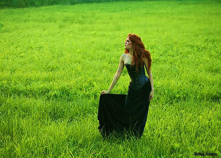 緑の草と赤毛、野原、平和、赤、平和、草、髪、美しさ、長い 高画質の壁紙