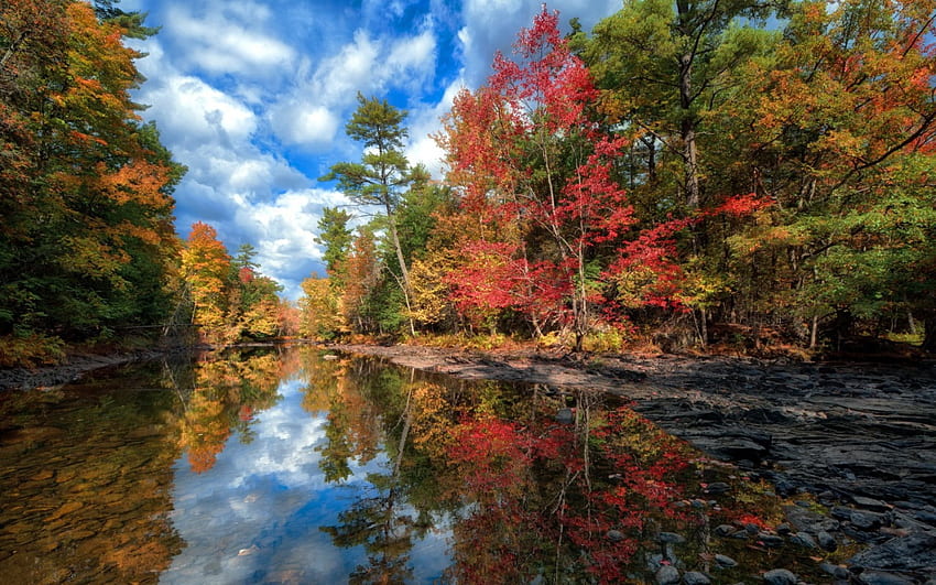 *** Autumn ***, blue, river, trees, autumn, sky, nature HD wallpaper