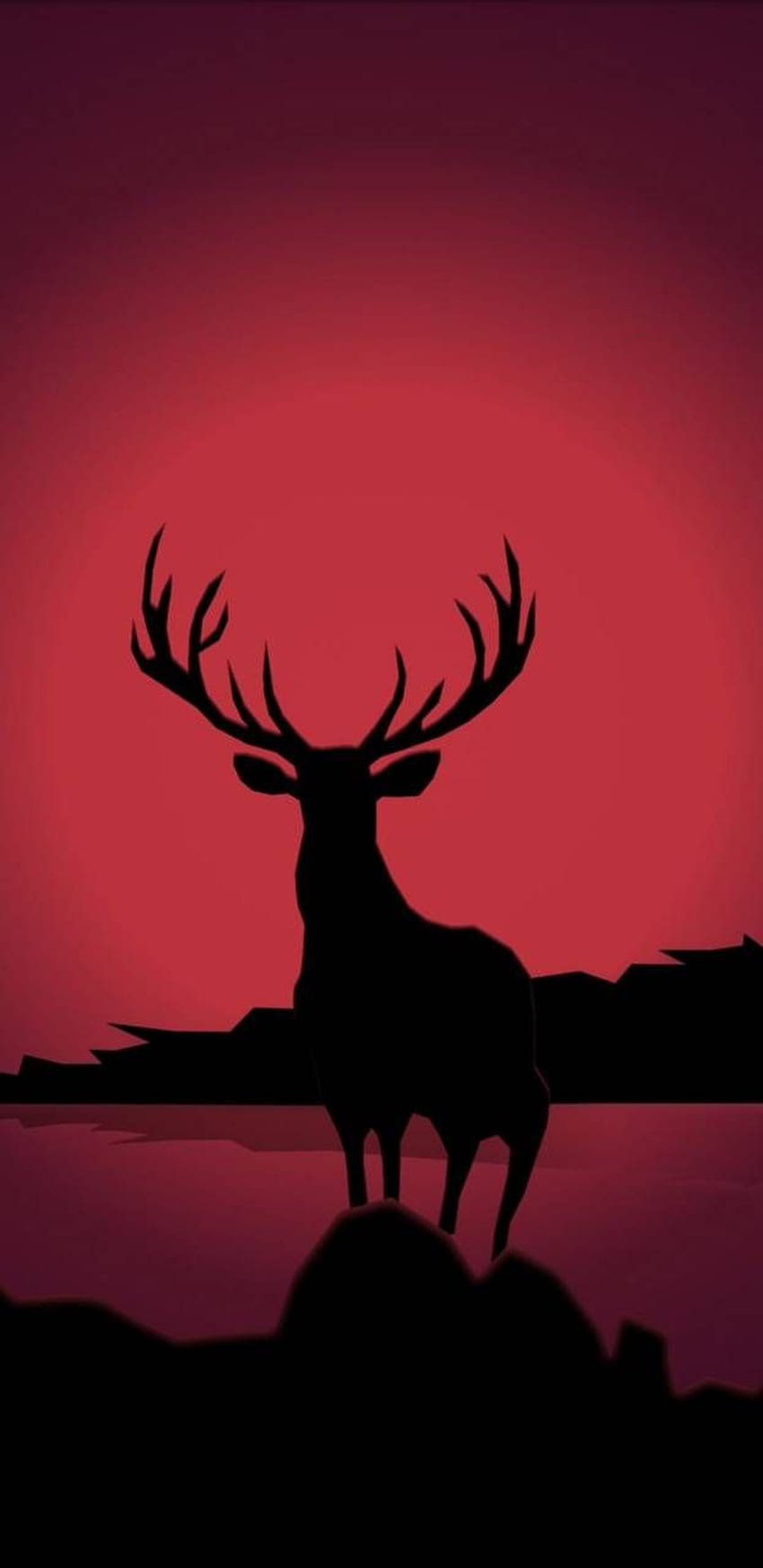 붉은 사슴, 사슴 미학 HD 전화 배경 화면