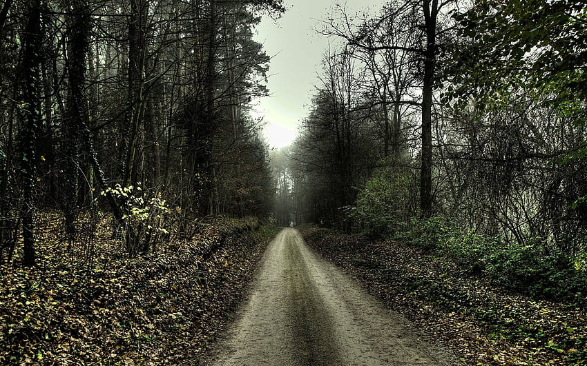 Dark Lonely Road HD wallpaper | Pxfuel