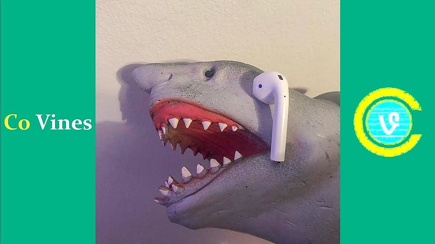 Versuchen Sie nicht zu lachen, wenn Sie die W-Titel der Shark Puppet Compilation 2019 sehen HD-Hintergrundbild