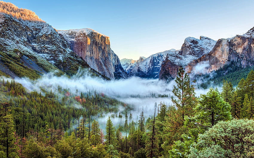 Natur, Bäume, Gebirge, USA, Nebel, USA, Kalifornien, Yosemite-Nationalpark HD-Hintergrundbild