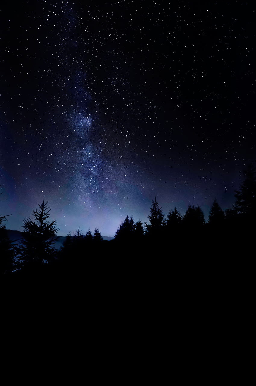 Natura, alberi, stelle, notte, buio, cielo stellato Sfondo del telefono HD