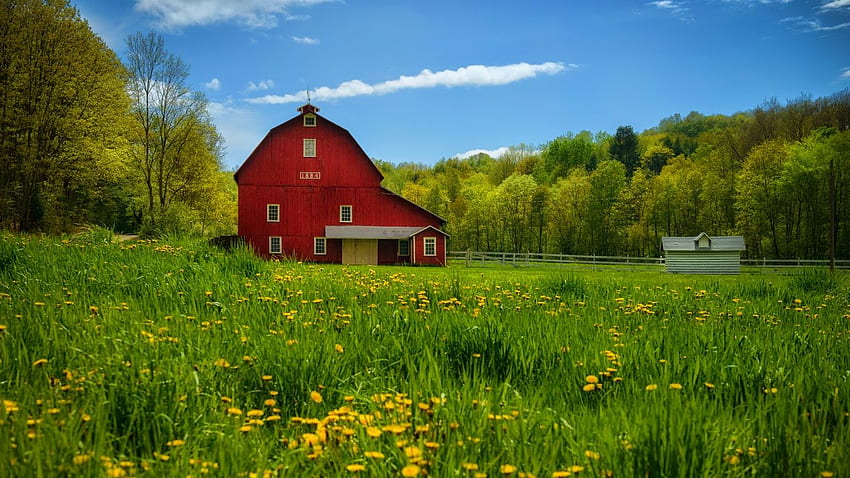 9,332 Amish Images, Stock Photos, 3D objects, & Vectors | Shutterstock