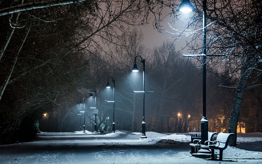 park, Winter, Snow, Bench, Lights, Lamp, Post, Night, Path, Trail / and Mobile Background HD wallpaper