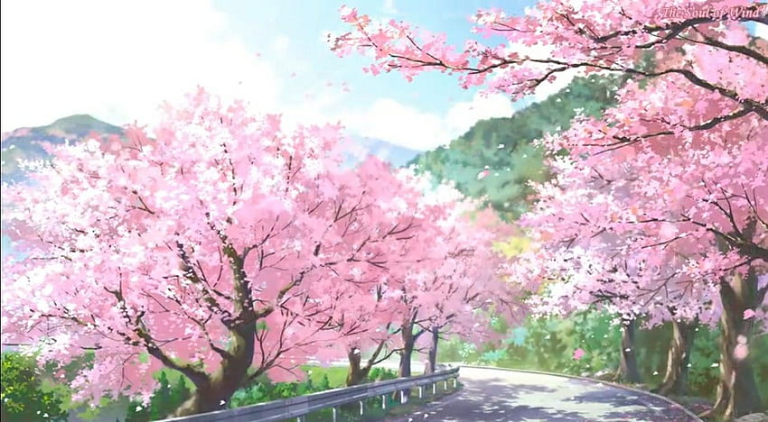 Anime Cherry Blossom - Novocom.top, Paesaggio con fiori di ciliegio Sfondo HD