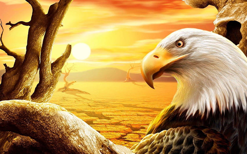 Full 3D Eagle, Native Eagle HD wallpaper