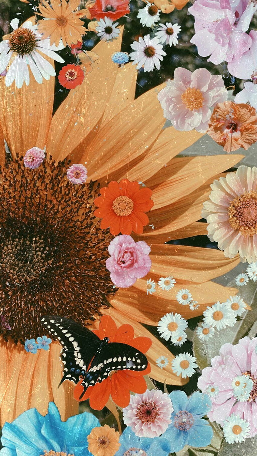 flower HD phone wallpaper