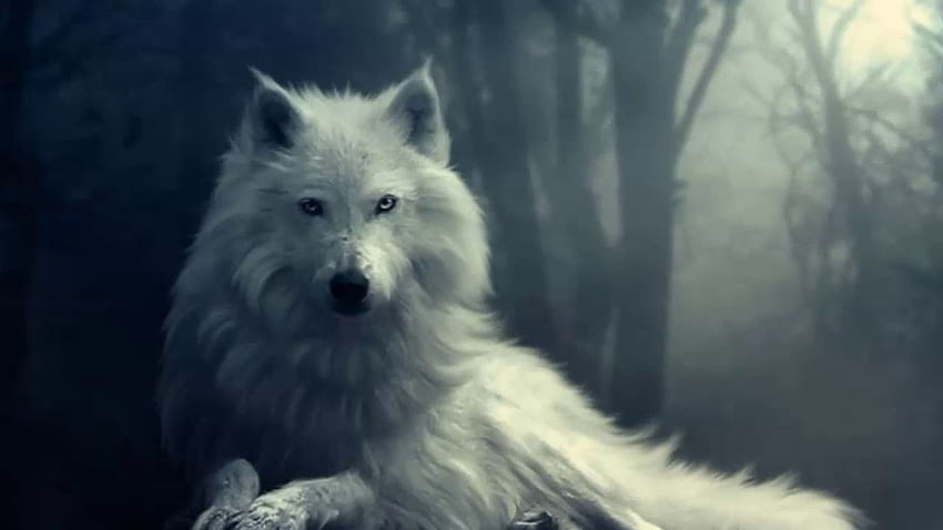 Epische Musik - White Wolf Spirit. Weißer Wolf, Wolfsgeist, was ist dein Krafttier HD-Hintergrundbild