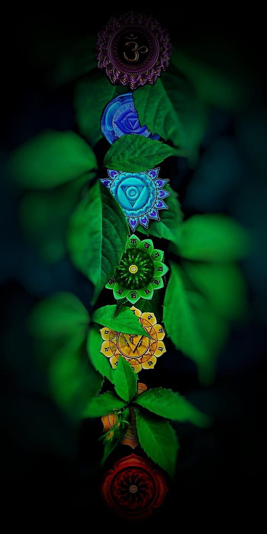 Czakry () w 2021 r. Zen, kwiaty natury, atrakcyjne, 7 czakr Tapeta na telefon HD