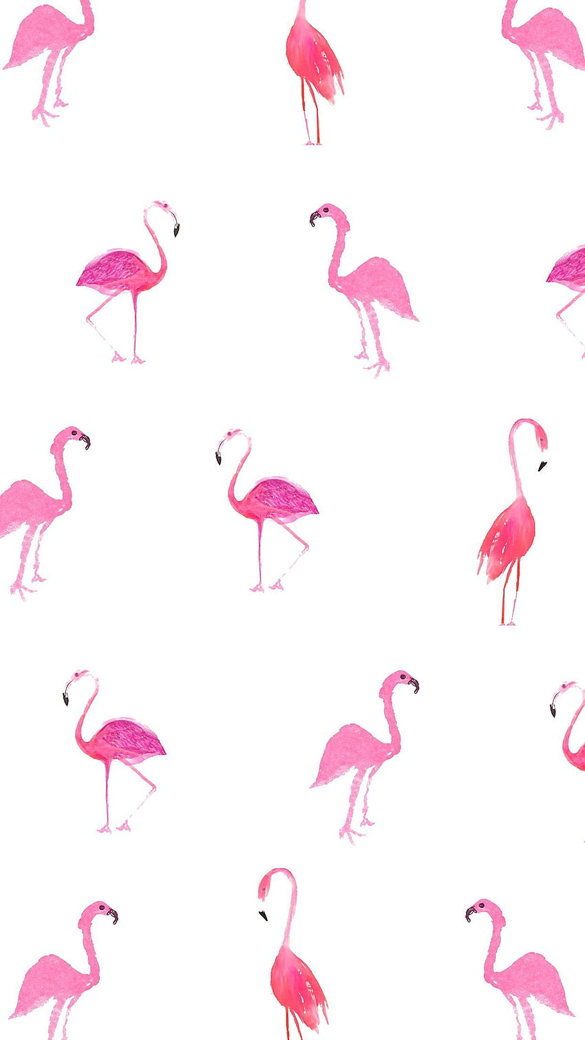 west elm - Flamingo Print Mobile Tech . •Flamingos HD phone wallpaper