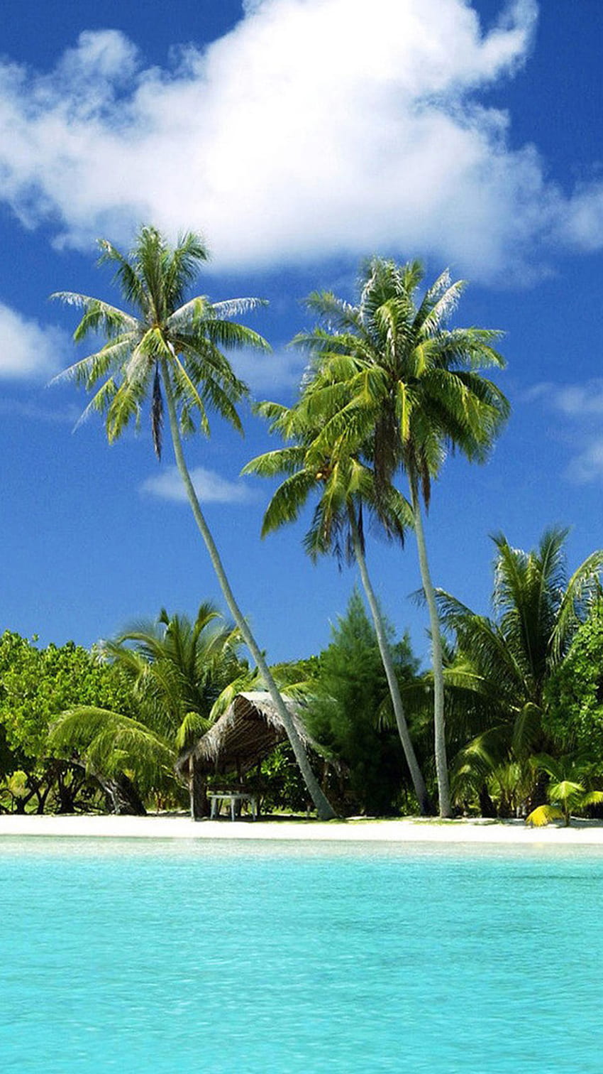 Lässiger tropischer Strand iPhone 6 iPhone 6 Hintergrund und [] für Ihr , Handy & Tablet. Entdecken Sie Tropical Beach Phone. Tropischer, karibischer Strand HD-Handy-Hintergrundbild