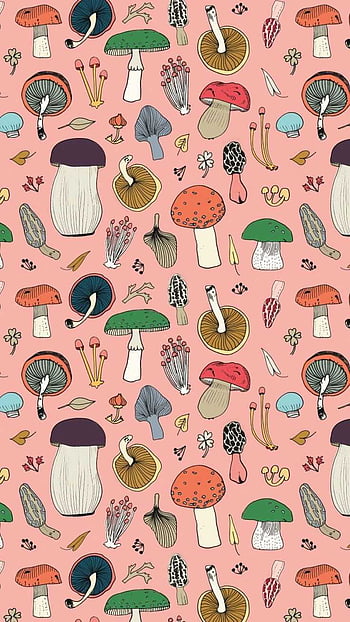 Mushrooms Pussy Fox Fabric Wallpaper and Home Decor  Spoonflower