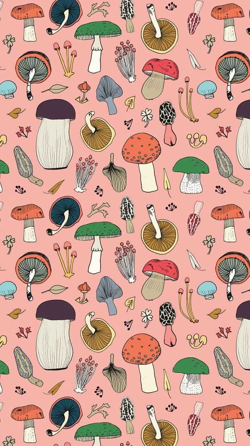 Mushroom Frog Wallpapers  Top Free Mushroom Frog Backgrounds   WallpaperAccess