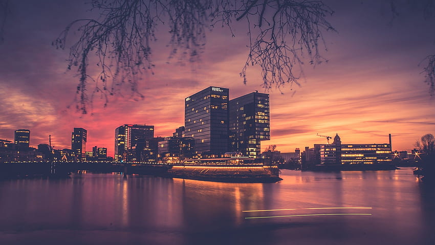architecture, Building, City, Cityscape, Branch, Trees, Water, Sunset, Light trails, Lights, Reflection, Modern, Long exposure, Clouds, Blurred / and Mobile Background, 2560X1440 Blurry Lights HD wallpaper