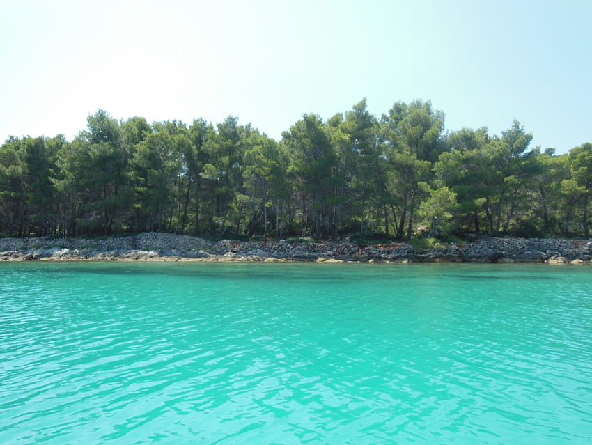 ทะเลสีฟ้าคราม ทะเล ต้นสน สีฟ้าคราม ต้นไม้ น้ำ วอลล์เปเปอร์ HD