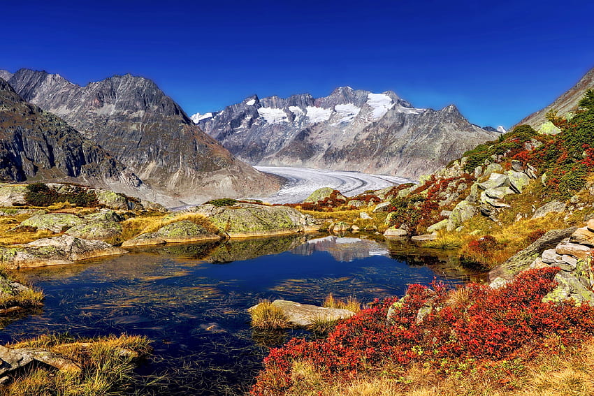 Sonbahar Renkleri ~ Aletsch Buzulu, İsviçre, sonbahar, doğa, isviçre, dağlar HD duvar kağıdı